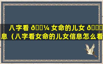 八字看 🌼 女命的儿女 🐕 信息（八字看女命的儿女信息怎么看）